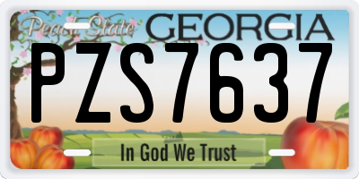 GA license plate PZS7637