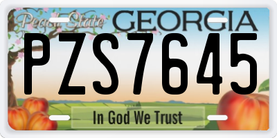 GA license plate PZS7645