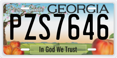 GA license plate PZS7646