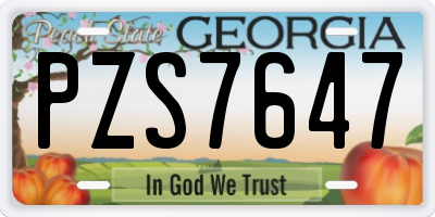 GA license plate PZS7647