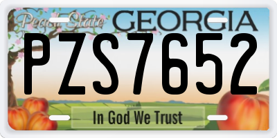 GA license plate PZS7652