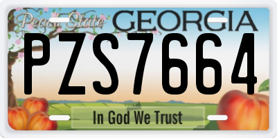 GA license plate PZS7664
