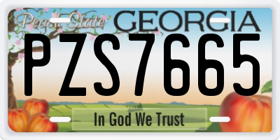 GA license plate PZS7665