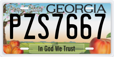 GA license plate PZS7667
