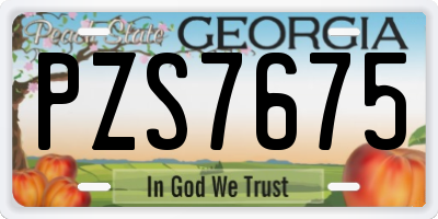 GA license plate PZS7675