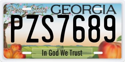 GA license plate PZS7689