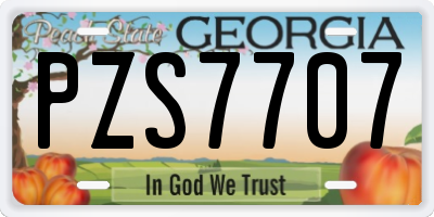 GA license plate PZS7707