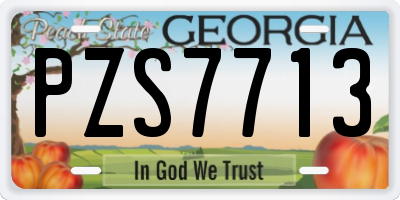 GA license plate PZS7713
