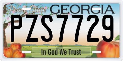 GA license plate PZS7729