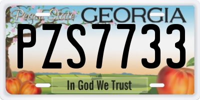 GA license plate PZS7733