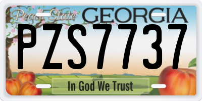GA license plate PZS7737
