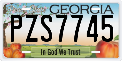 GA license plate PZS7745
