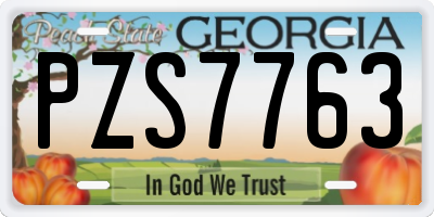 GA license plate PZS7763