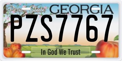 GA license plate PZS7767
