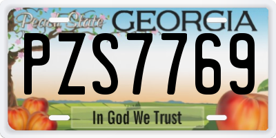 GA license plate PZS7769