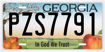 GA license plate PZS7791
