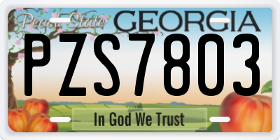 GA license plate PZS7803