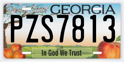 GA license plate PZS7813