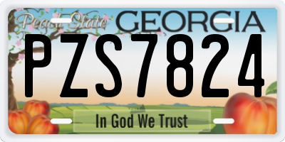 GA license plate PZS7824