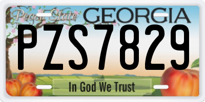 GA license plate PZS7829