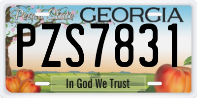 GA license plate PZS7831