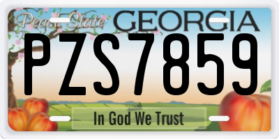 GA license plate PZS7859
