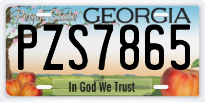 GA license plate PZS7865