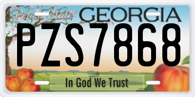 GA license plate PZS7868