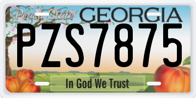 GA license plate PZS7875