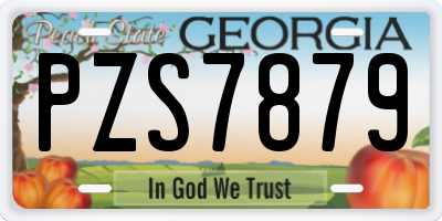 GA license plate PZS7879
