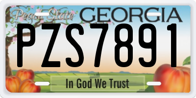 GA license plate PZS7891