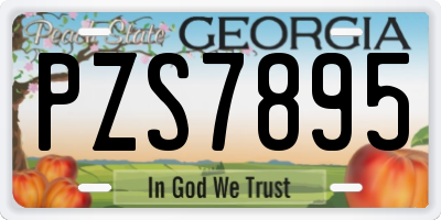 GA license plate PZS7895
