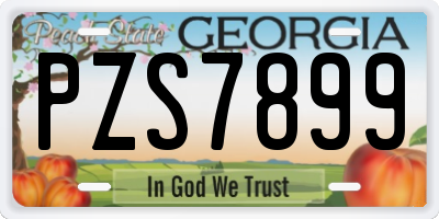 GA license plate PZS7899
