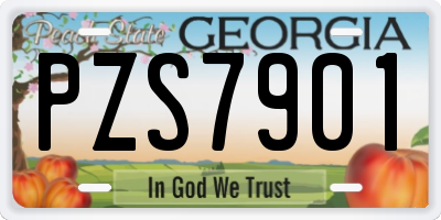 GA license plate PZS7901