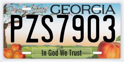 GA license plate PZS7903