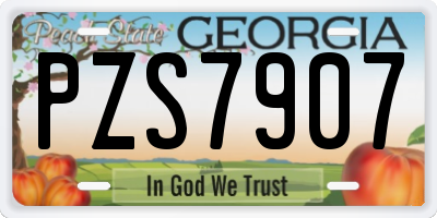 GA license plate PZS7907