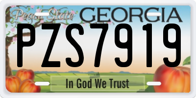 GA license plate PZS7919
