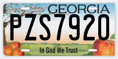 GA license plate PZS7920
