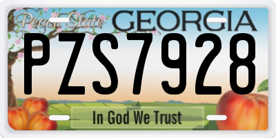GA license plate PZS7928