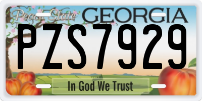 GA license plate PZS7929