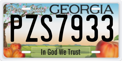 GA license plate PZS7933