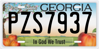 GA license plate PZS7937