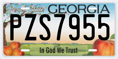 GA license plate PZS7955