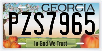 GA license plate PZS7965