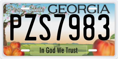 GA license plate PZS7983