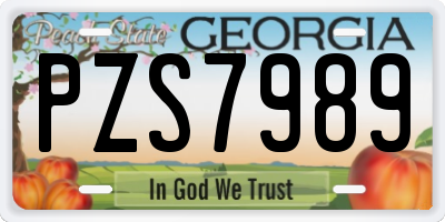 GA license plate PZS7989