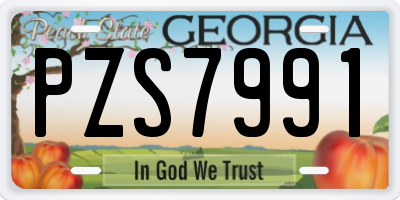GA license plate PZS7991