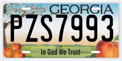 GA license plate PZS7993