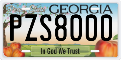 GA license plate PZS8000