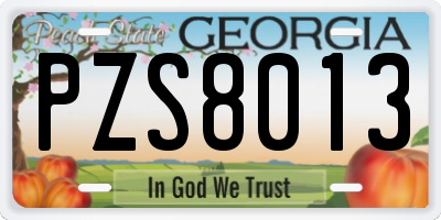 GA license plate PZS8013